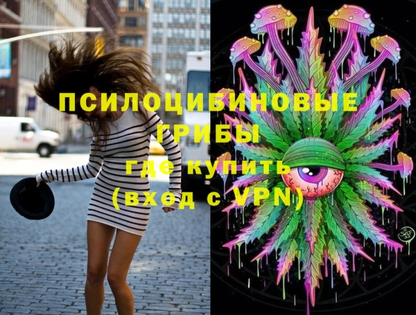 ешки Армянск