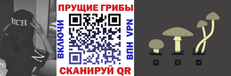 Галлюциногенные грибы Psilocybe  наркошоп  Лахденпохья 